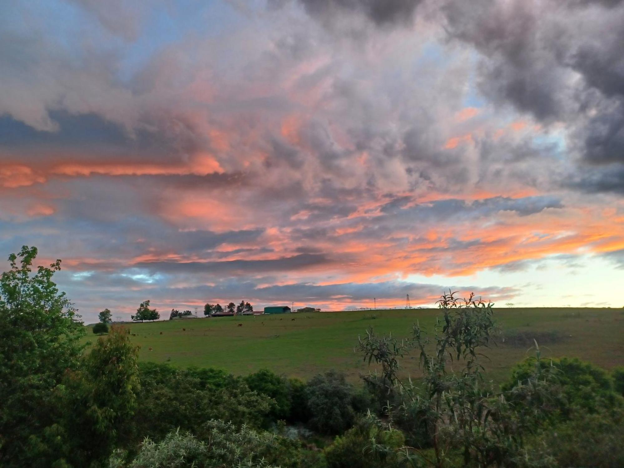 Little Fields Country House And Cottages Howick Exteriér fotografie