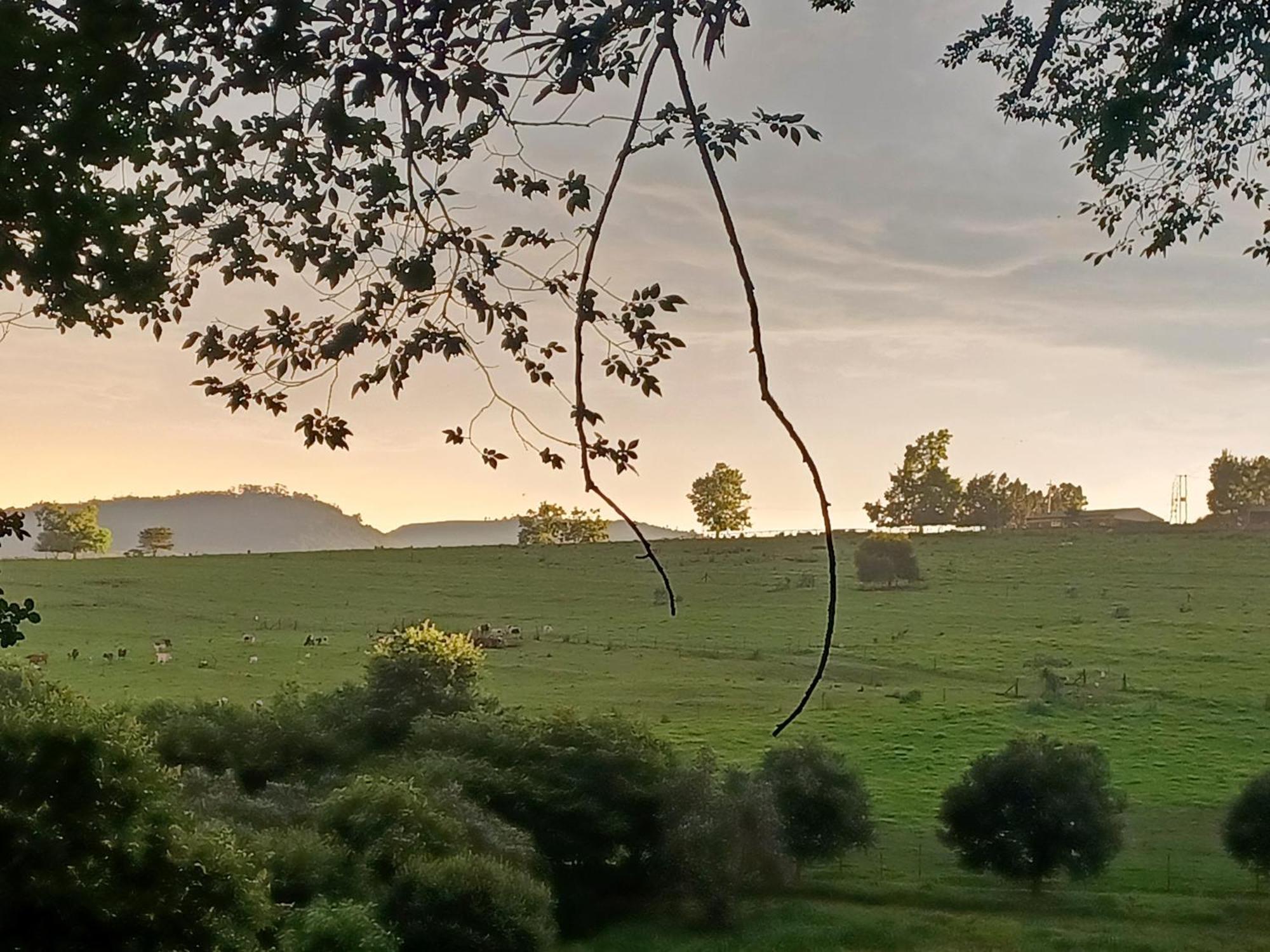 Little Fields Country House And Cottages Howick Exteriér fotografie